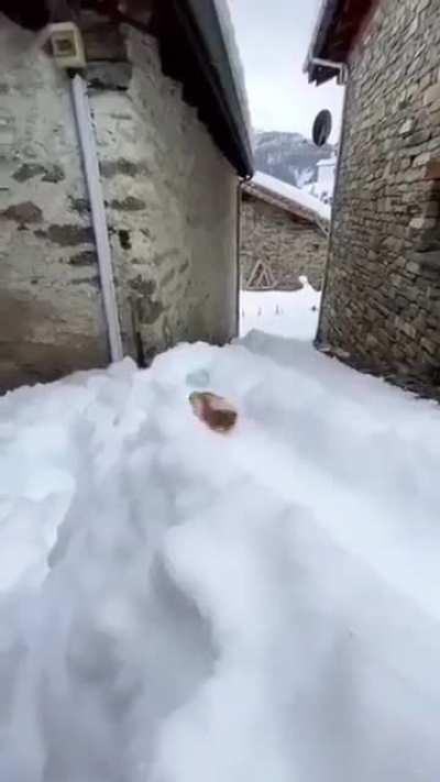 Hey buddy, could you get me a beer.