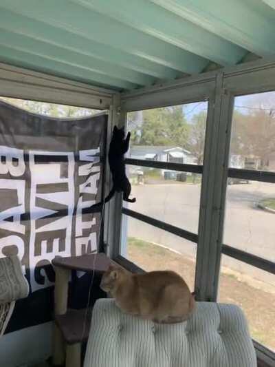 Nothing to see here...