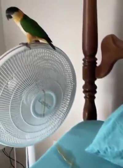 The way he looks at what he did..