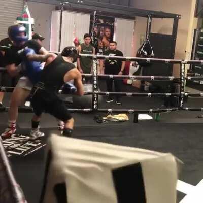 Oscar valdez sparring with canelo Álvarez