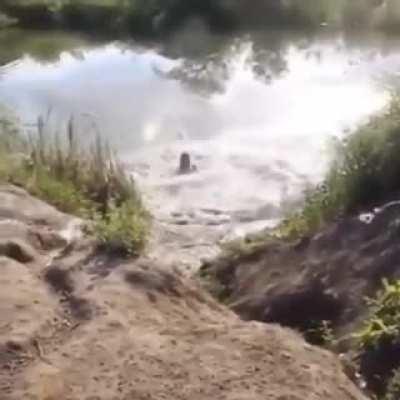 Doing a cool jump into the lake