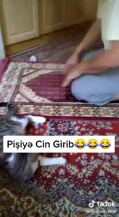 No hooman! You already did your fourth rakat!