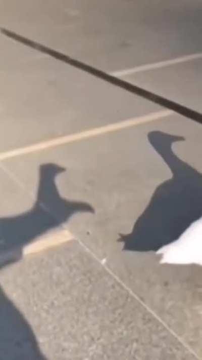 Well that took a dark turn