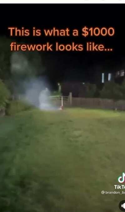 VERY Expensive Firework (not OC)