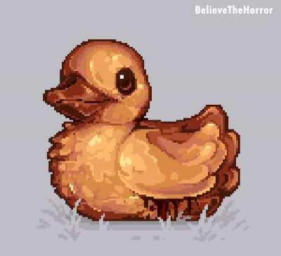 Thanks, I hate ducks