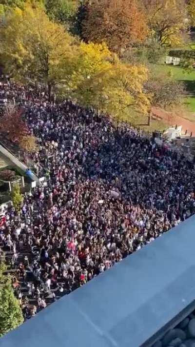 A Crowd Singing YMCA Outside Of The White House