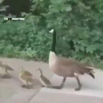 Esperemos que no hagan manifestaciones