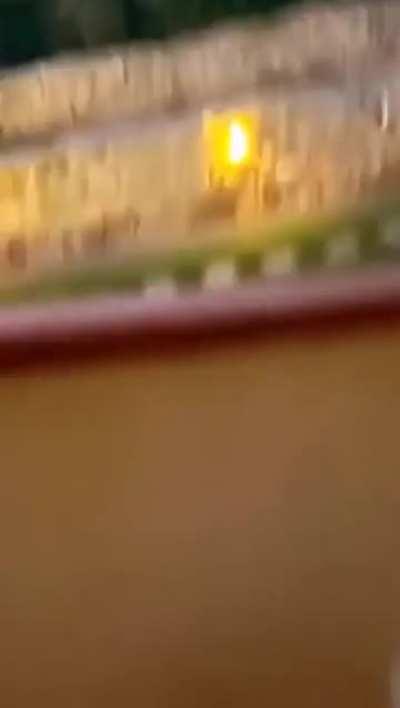 Everyone is sometimes crazy