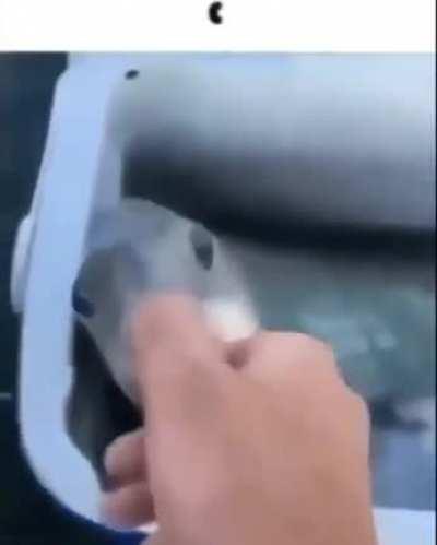 ͑͑͑͑͑͑͑͑͑͑͑͑͑ ⠀