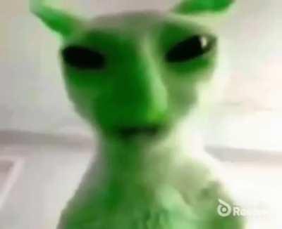 Alien wunkus