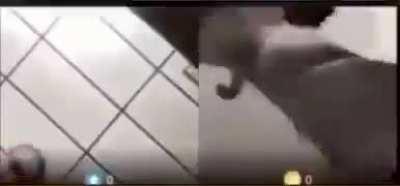 مثمسمسمسن🤬🤬🤬🤬🖕🖕