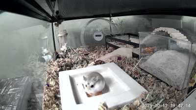 Thanksgiving should include everyone (especially Doug)