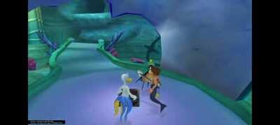 Donald getting absolutely destroyed