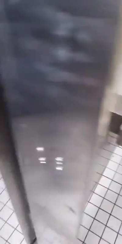 Just another normal day on the ship.