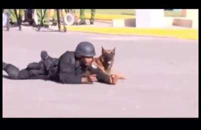 Accuracy on point with this guy