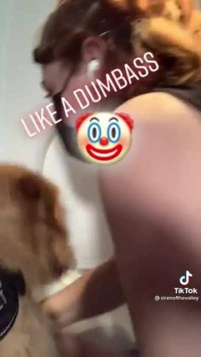 Good boy help it's owner.