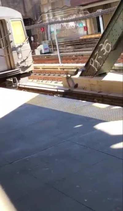 Wrong neighborhood buddy.