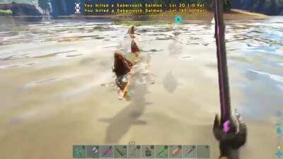 Is this what they mean about salmon swimming upstream?