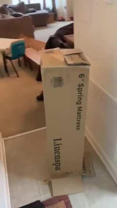 He turned himself into a box, funniest stuff I've ever seen