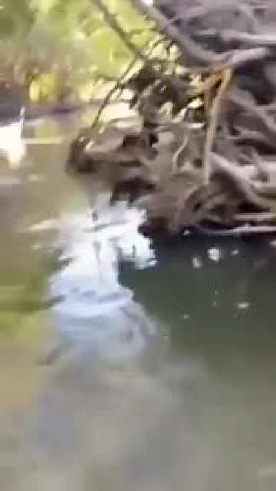 Put him in the hall of fame for this sub