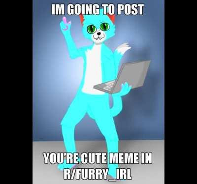 furry_irl