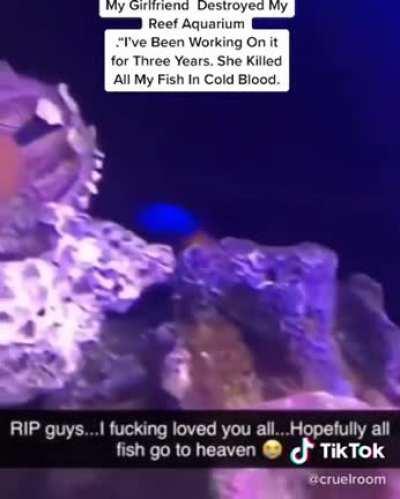 His girlfriend destroys fish tank which killed his fish..