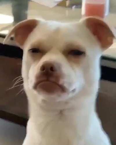 saturday night dance party