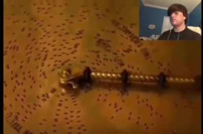 what a calming music disc