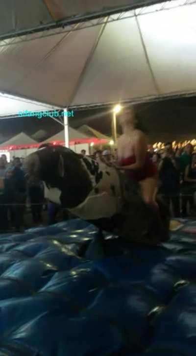 bull riding