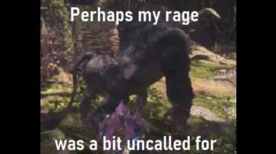 Monkey rethink actions