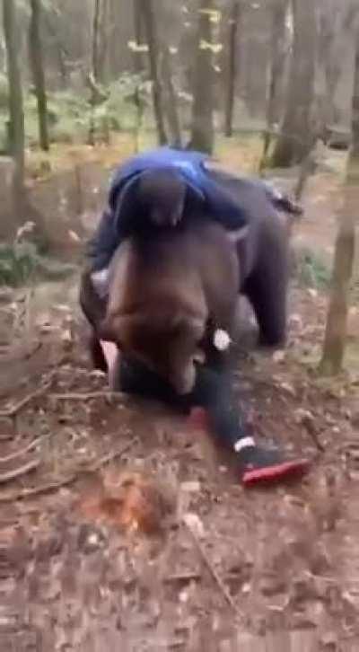 Russians casually wrestling with a bear