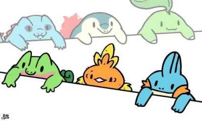 R.I.P Torchic the only starter with no arms