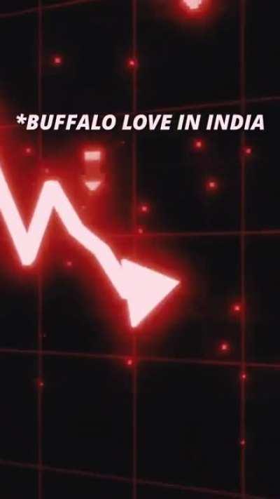 baffalo 💀💀