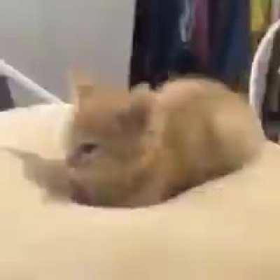 i think about this video at least once a day