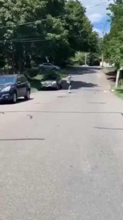 Tries getting up immediately what a trooper