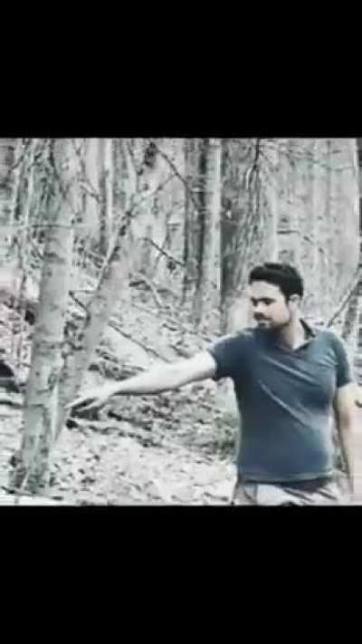 Whatifalthist schizo lore 