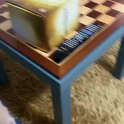 Just managed to catch some binkies from Eevee he tries so hard to stay off camera when he does them 😂