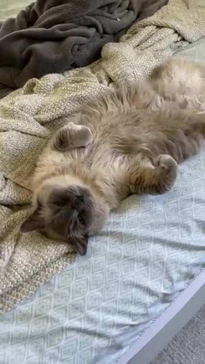 It’s a tough life, but he lives it.