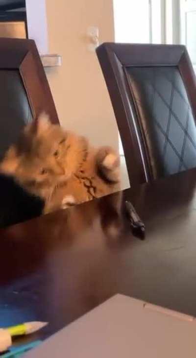 What’s this pen doing here?