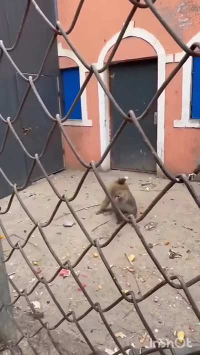 Você jogando Black Myth Wukong 