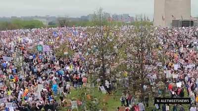 Hundreds of thousands of people gathered at the National Mall in Washington, D.C., for the ‘Hands Off’ protest, standing up to Trump and Musk