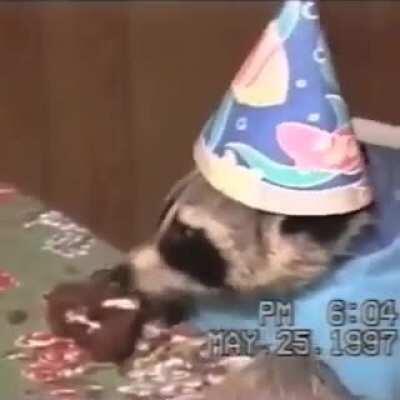 Annabelle has a birthday party