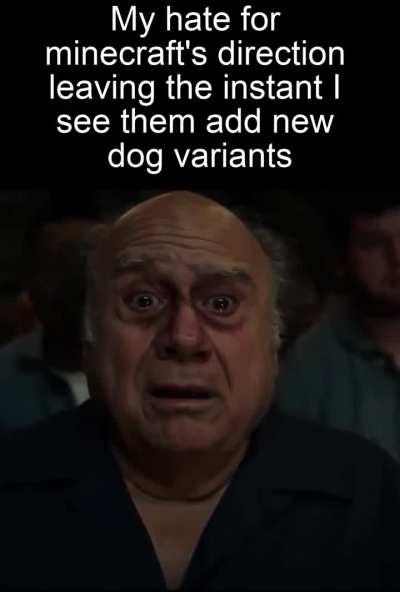 Best decision they've ever made