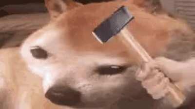 Face reconstruction surgery for bonked victim.