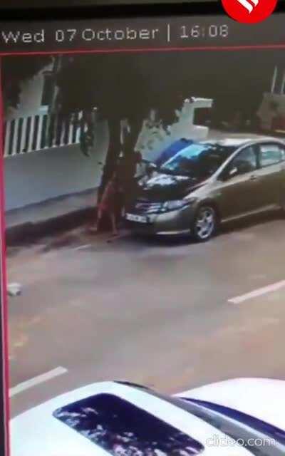 Crushed by a door against a tree. DoV?