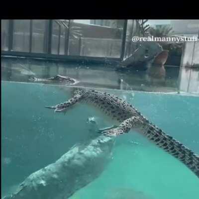 Link to the source of gif in comments