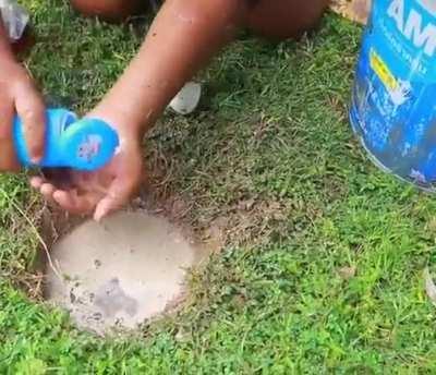 Кто в курсе зачем яйцо?