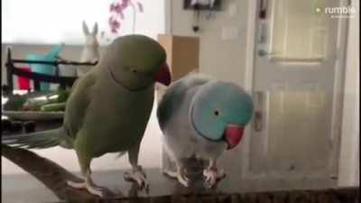 I need this love in my life :)