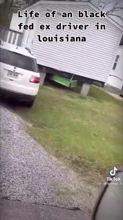 Just another day in the trailer park
