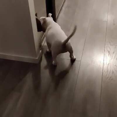 Esther says hello to herself😂😂😂